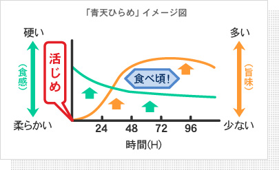 青天ひらめ特集