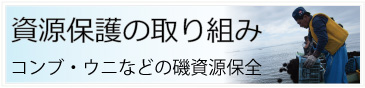 うに移植事業